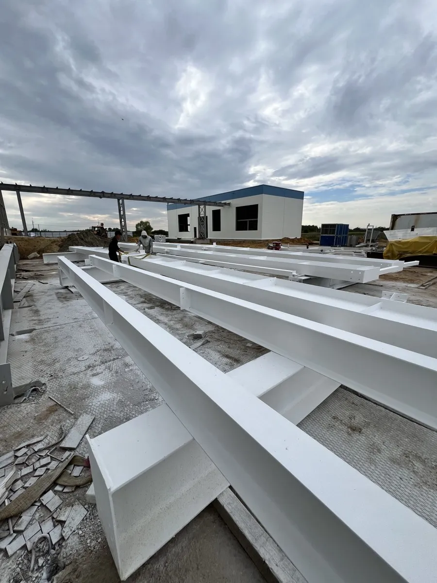 Строительство молокозавода Раменское